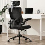 AONELAS Ergonomic Mesh Desk Chair - Black