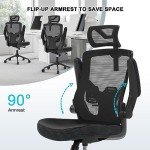 AONELAS Ergonomic Mesh Desk Chair - Black