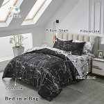 Modern Marble Queen Comforter Set, 7 Pieces