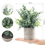 2-Pack Small Faux Eucalyptus Potted Plants