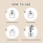 Cocorrína Premium Reed Diffuser with Cashmere Vanilla