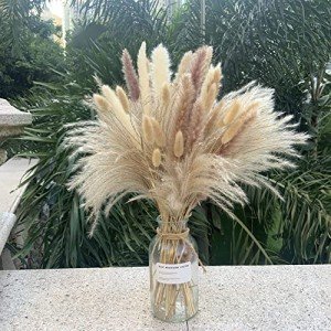 Dried Pampas Grass Set for Boho Home Decor