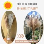 Dried Pampas Grass Set for Boho Home Decor