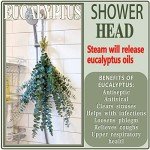 20 Natural Dried Eucalyptus Stems for Home Decor