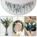 20 Natural Dried Eucalyptus Stems for Home Decor
