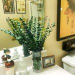 20 Natural Dried Eucalyptus Stems for Home Decor