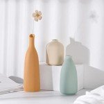 Modern Ceramic Vase Set of 3 for Home Decor