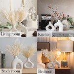 Modern White Ceramic Vases Set for Home Décor