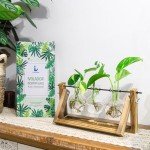 Ivolador Glass Bulb Vase with Wooden Stand