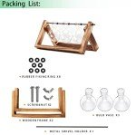 Ivolador Glass Bulb Vase with Wooden Stand