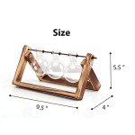 Ivolador Glass Bulb Vase with Wooden Stand