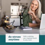 HoMedics Silver Springs Relaxation Fountain with Stones