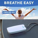 A310 Rechargeable Personal Air Purifier with Case