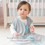 Halo Sleepsack Baby Blanket, Ideal Temp, Large