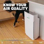 HATHASPACE Smart True HEPA Air Purifier