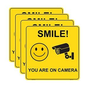 Smile You Are on Camera Vinyl Stickers - 4 Pack