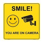 Smile You Are on Camera Vinyl Stickers - 4 Pack