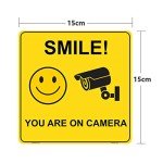 Smile You Are on Camera Vinyl Stickers - 4 Pack