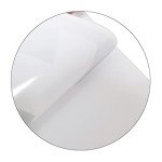 Smile You Are on Camera Vinyl Stickers - 4 Pack