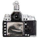 Old World Christmas Glass Ornaments for Tree