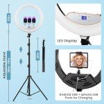 22" Dimmable Ring Light with Tripod and USB Ports