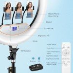 22" Dimmable Ring Light with Tripod and USB Ports