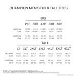 Champion Powerblend Pullover Sweatshirt for Men