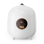 Bear Mini Rice Cooker - 2-Cup Capacity, Easy Use