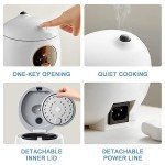 Bear Mini Rice Cooker - 2-Cup Capacity, Easy Use