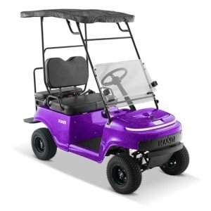 Kandi America Portable Electric Golf Cart - 2 Seats