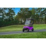 Kandi America Portable Electric Golf Cart - 2 Seats