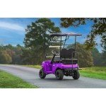 Kandi America Portable Electric Golf Cart - 2 Seats