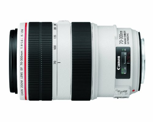 Canon EF 70-300mm L Series Telephoto Lens
