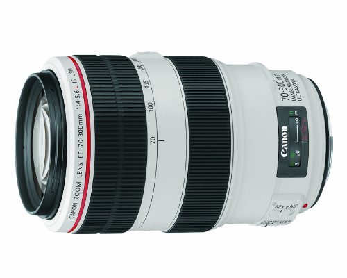 Canon EF 70-300mm L Series Telephoto Lens