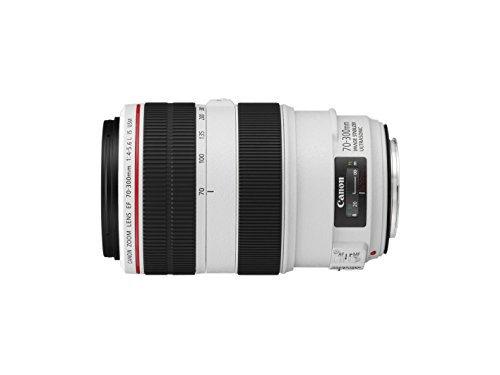 Canon EF 70-300mm L Series Telephoto Lens