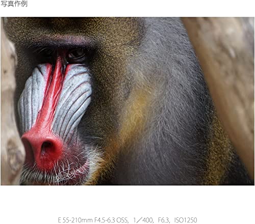 Sony E 55-210mm Zoom Lens for E-Mount Cameras