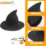 Wool Witch Hat for Halloween and Everyday Wear