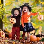 Wool Witch Hat for Halloween and Everyday Wear