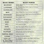 Wicca Ritual Herb Kit with Magic Candles