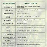 Witchcraft Kit: Spells, Herbs, Crystals & Candles