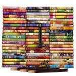 Hem Incense Sticks Variety Pack with Holder