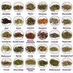 Herbal Magic Kit: 30 Dried Herbs for Beginners