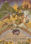 Herbal Astrology Pocket Oracle: 55-Card Deck