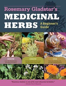 Beginner’s Guide to 33 Medicinal Herbs
