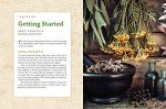 Herbal Medicine-Making Guide for Coffee Lovers