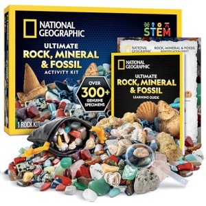 Kids' Gemstone and Fossil Science Kit - 300 Pieces