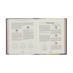 The Book of Divination: A Guide to Predicting the Future (Mystic Archives, 1)