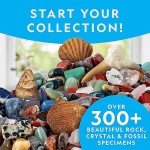 Kids' Gemstone and Fossil Science Kit - 300 Pieces
