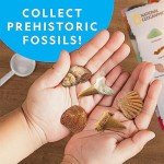 Kids' Gemstone and Fossil Science Kit - 300 Pieces