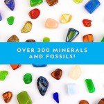 Kids' Gemstone and Fossil Science Kit - 300 Pieces
